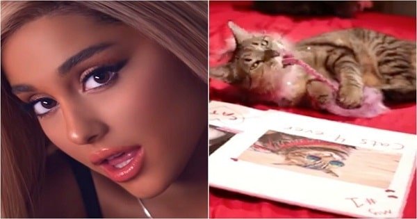 Check Out Ariana Grande’s Latest Hit: ‘Thank U, Cats’!