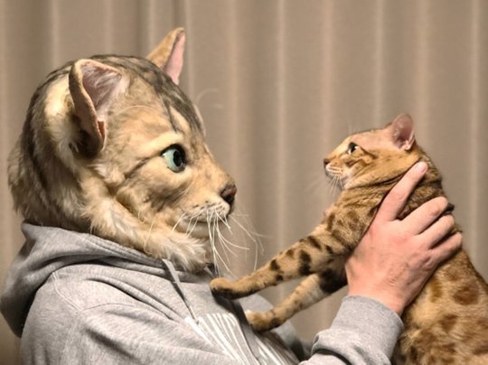 Now You Can Get a Human Size Replica of Your Cat’s Face 2