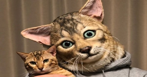 Now You Can Get a Human Size Replica of Your Cat’s Face