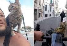 Cat travels the world on a bicycle after backpacker adopts the stray kitten