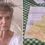 Cat Lover Sentenced to Jail for Feeding Strays