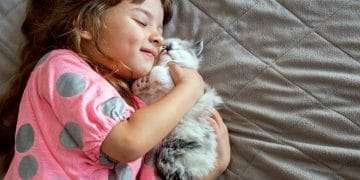 Kittens and Babies Share the Same Bond with Their Caregivers