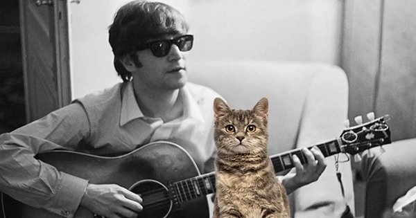 John Lennon – The 60s Version of the Crazy Cat Lady