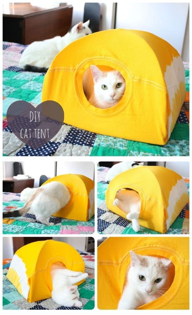 A cat tent from a shirt and two hangers makes for an ideal shelter for your pet