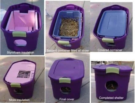 Nice idea to keep feral cats warm in your backyard this winter