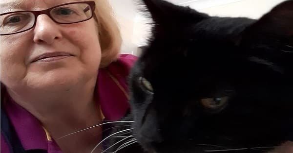 Deaf Cat Reunited with Owner After 12 Long Years