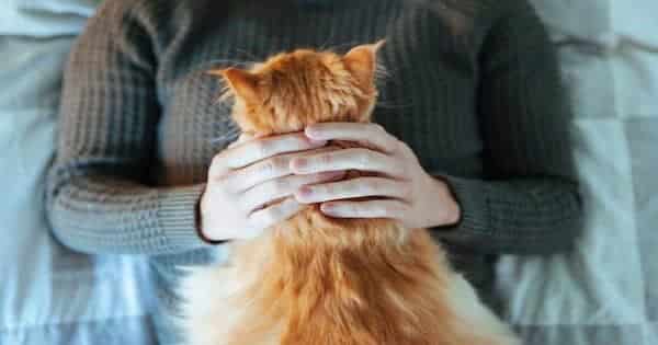 According to Research Cat People Love Their Cats More than Humans