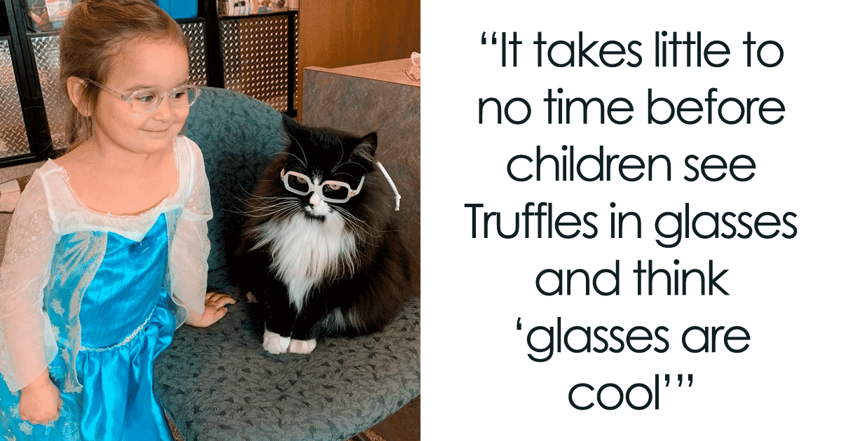Meet Truffles – the Cat that Helps Kids Feel Comfortable with Glasses