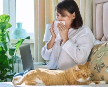 Can Cats Catch a Cold? The Truth Unveiled